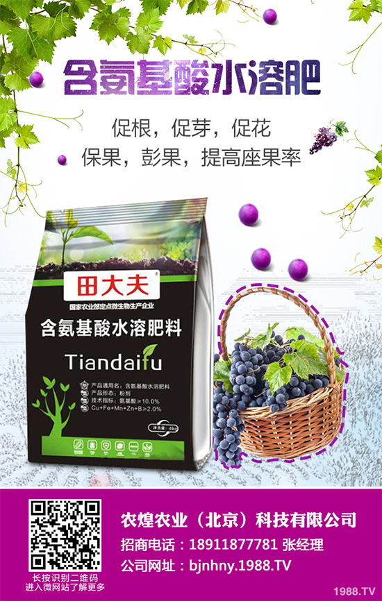 ��ѩ�^�����߲˴�����֪��ԓ��ô����᣿