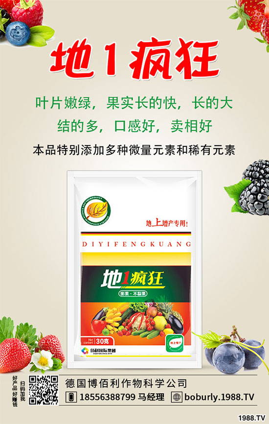 山藥豆的功效與作用有哪些,哪些人不適合吃山藥豆?