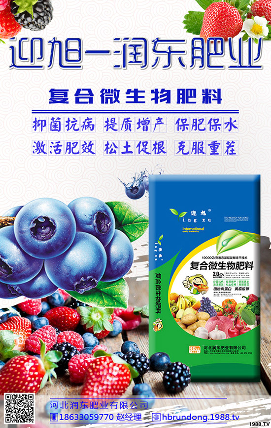 ���@��ʲô���݄��������@������ô�x����݄���