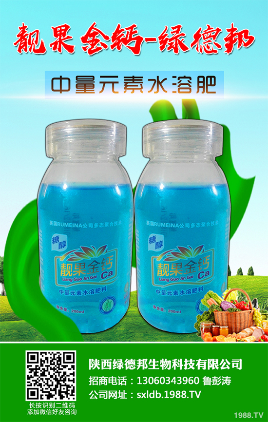 �����߲�����ЩƷ�N�������߲˵ķNֲ�l����ע�����