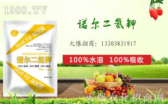 ��(zh��n)�Ժ����������������Z�����H�y��1988.TV�ل�(chu��ng)���x����