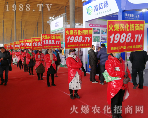     2019�ӱ�ʯ���fֲ�����ϻ��r���W��Ӣ�ɳ�������(zh��n)����