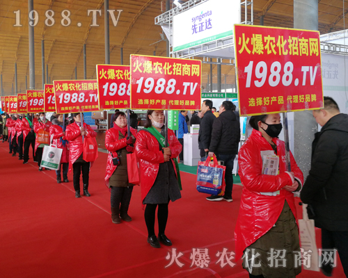     2019��30�úӱ�ֲ����(hu��)�����r(n��ng)���W(w��ng)Ҋ(ji��n)�C�ИI(y��)ʢ��(hu��)�ل�(chu��ng)�ѿ�(j��)��