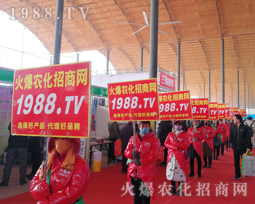     2019��30�úӱ�ֲ�������r���˾����I(y��)�I(y��)���������ɿ�