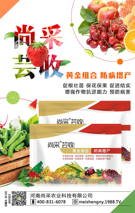 ����(sh��)�����ʵ͵�ԭ����ʲô��������(sh��)��������������