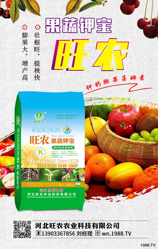 ��������ķNֲ�r(sh��)�g������������������Ҫ�c(di��n)����Щ��