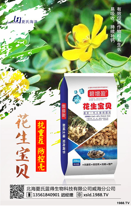 ���{���Nǰ����������{���߮a�NֲҪ�c��