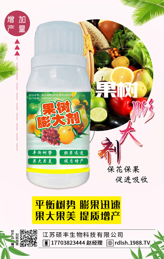 ��ľ���Ĺ�Ч�c���ã���ľ�����ʳ��������Щ��