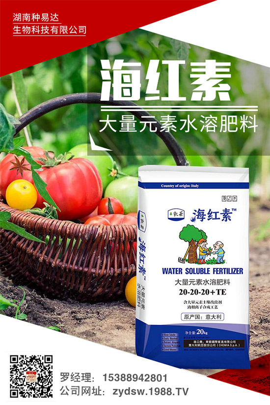 �＾��ݮ��ô�����＾�����ݮ�ĸ߮a(ch��n)���༼�g(sh��)���h(hu��n)��Ҫ��