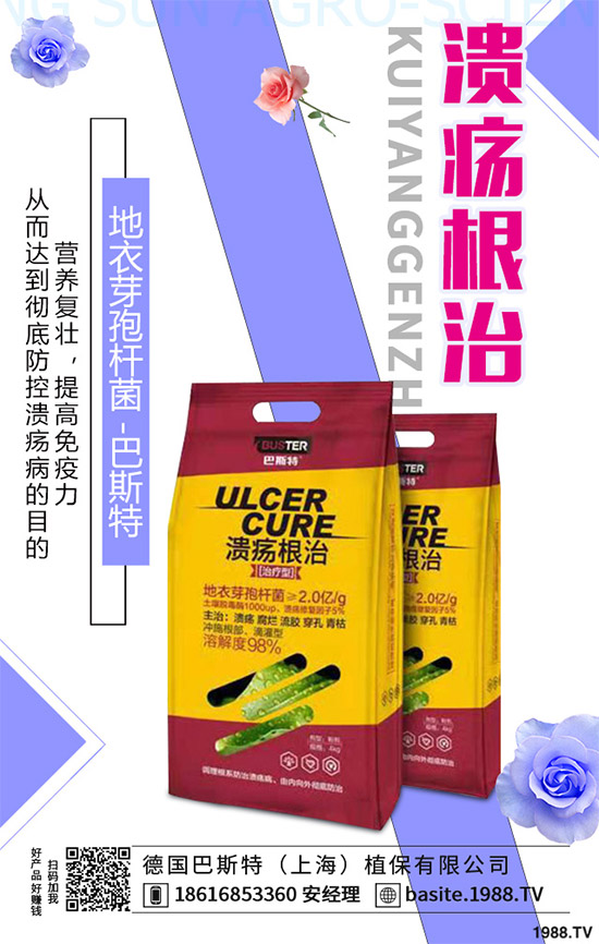 ������һ���Ǽ�(x��)���Բ��������e���e����Ƚ���������������ɷ����Ν�������