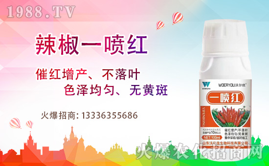 ������һ���t���÷��f������ʲôҪ�á�����һ���t��������һ���t�Ă����Ӻ���