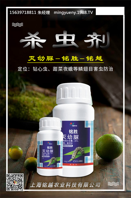     �����x�r(n��ng)ˎ�r(ji��)��