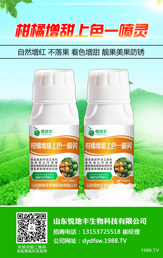 西蘭花該怎么種植?西蘭花高產種植技術要點