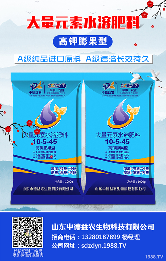 西蘭花該怎么種植?西蘭花高產種植技術要點