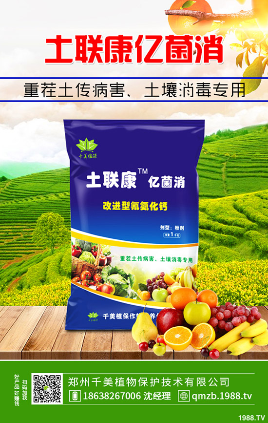     �＾����������ι������＾����������ֲ�������g(sh��)��