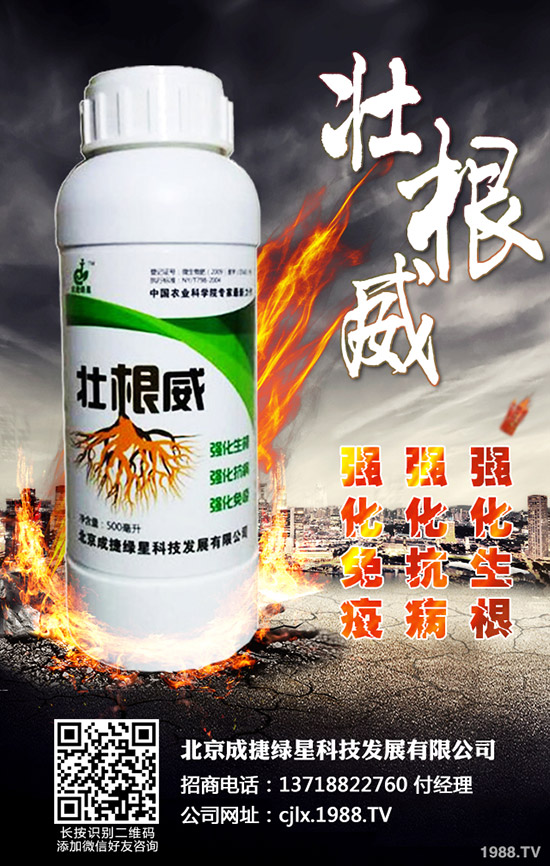 青椒的種植方法有哪些?青椒種植過程中需要注意的幾大問題