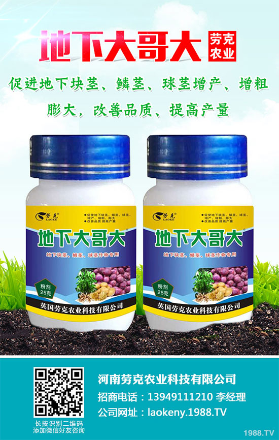 �������Щ�I�B(y��ng)�rֵ���Խ������Щ��̎����˵Ĺ�Ч�c����