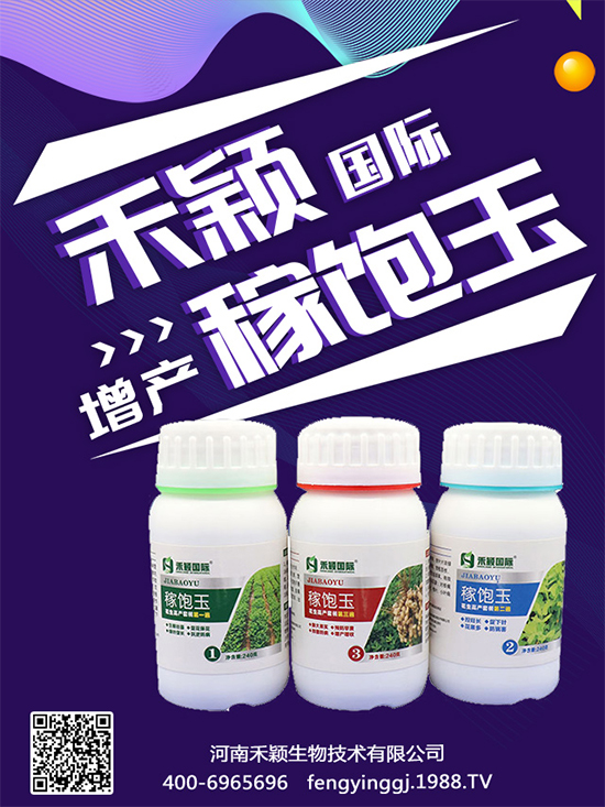 秋葵種植和收獲時間,秋葵種植的生長環(huán)境!