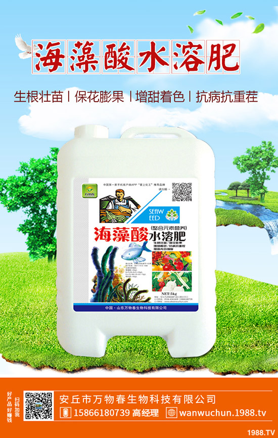 蘆薈多久澆一次水?蘆薈澆水注意事項!