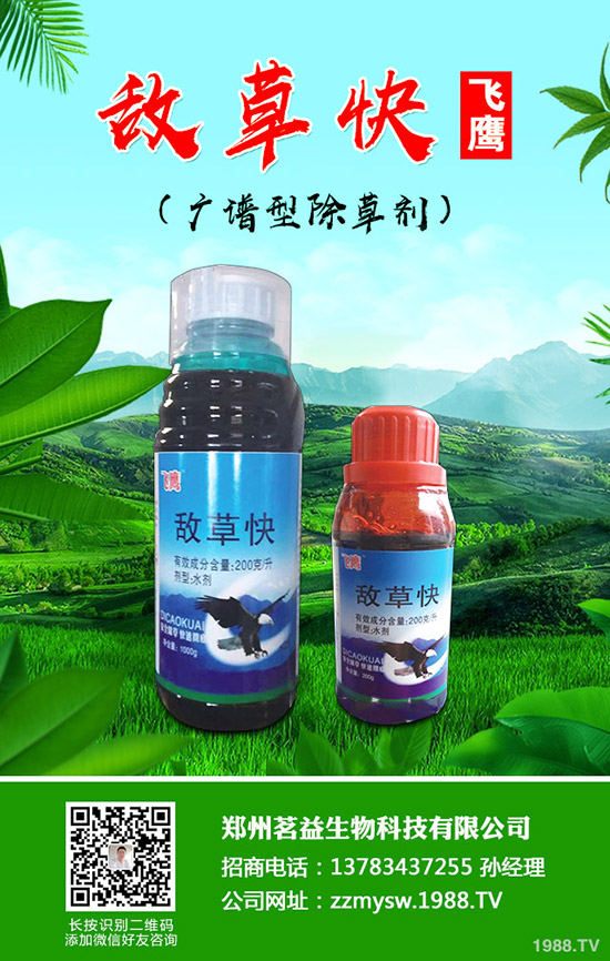 ���ݳ��݄��r(ji��)��