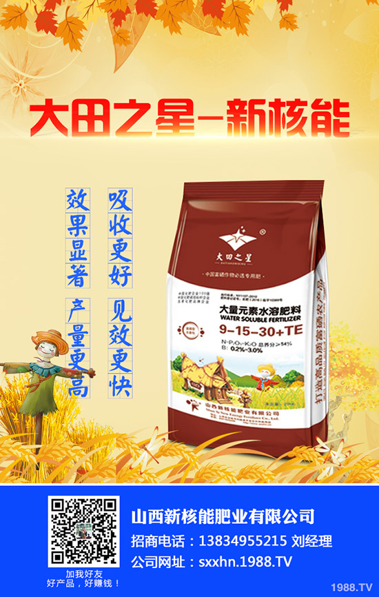 2019年9月17日今日最新國(guó)內(nèi)磷酸一銨出廠報(bào)價(jià)一覽