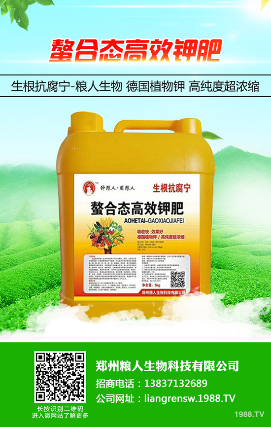 金銀花如何施肥,金銀花高產(chǎn)施肥要點(diǎn)!