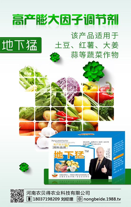 ���[ԓ������磿�������[��������