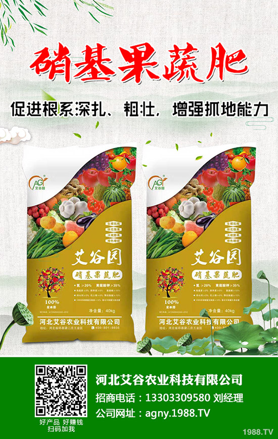 ��Ҭ���c���m���ĠI�B(y��ng)�r(ji��)ֵ��ʲô��ͬ����Ҭ�����m���ą^(q��)�e����Щ��