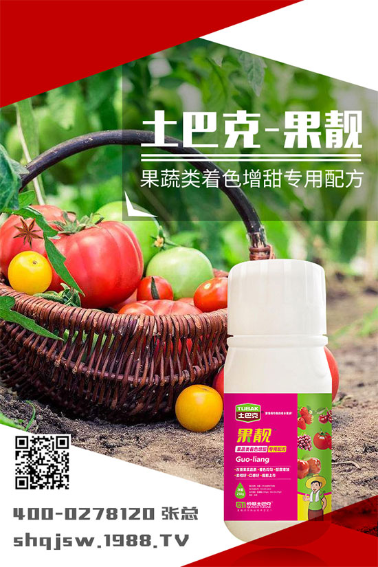 南瓜種植時間是什么時候?南瓜的播種方法及栽培技術!