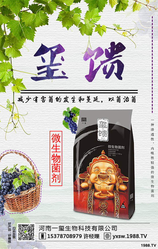     �������ӷNֲ�{ݮ���Nֲ�{ݮ��ԓע��ʲô��