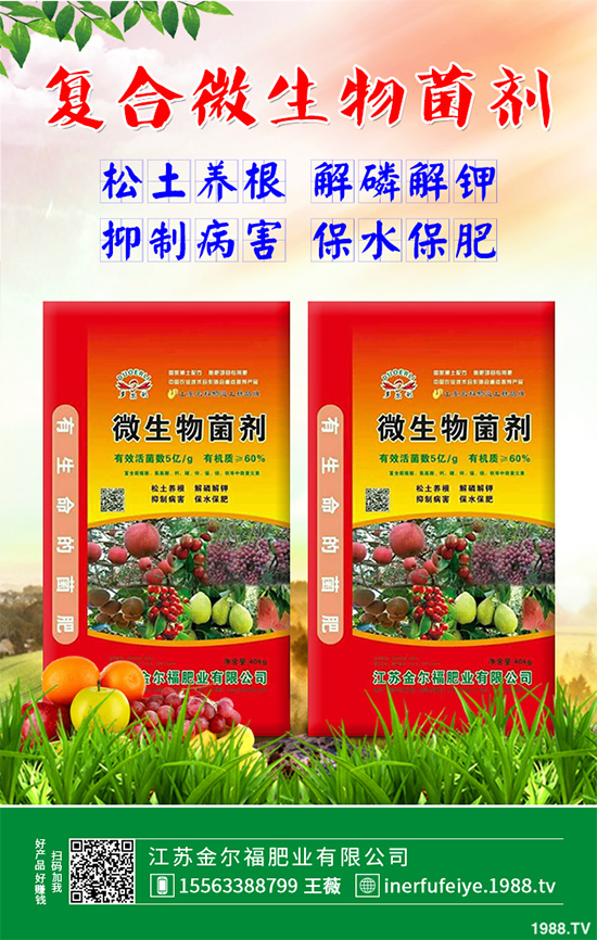 豌豆什么時候種植?該怎么種?豌豆種植時間及種植技術要點