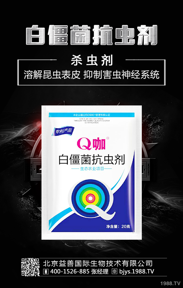 月季病蟲害怎么防治?月季病蟲害防治集錦