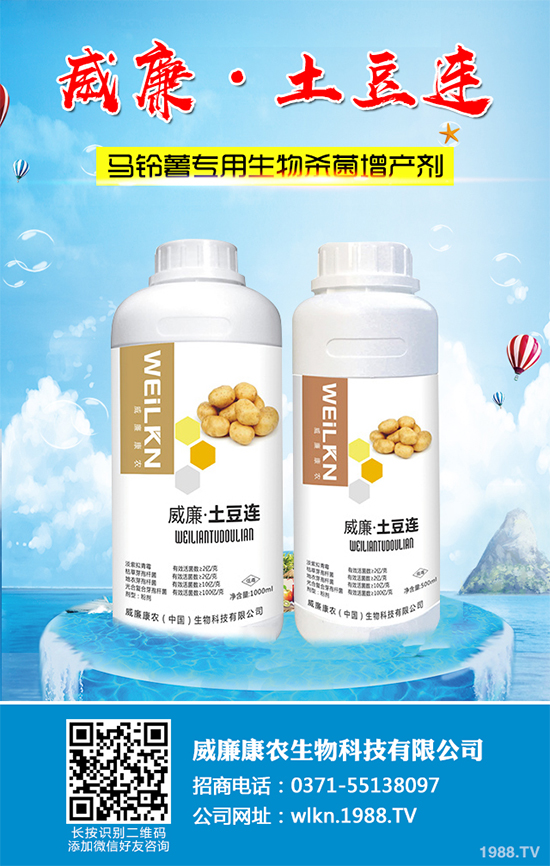 �㶹����������ЩΣ�����F(xi��n)��ԓ���ӷ������㶹���������η���