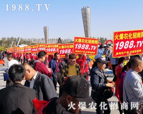 ���r(n��ng)�����̾W(w��ng)ʢ�b����2019��ʮ�����L��ֲ������