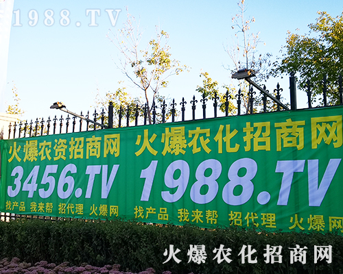 2019�L(zh��ng)����ʮ���Ö|����ʡֲ����(hu��)�����r(n��ng)�����̾W(w��ng)ȫ���Ը���