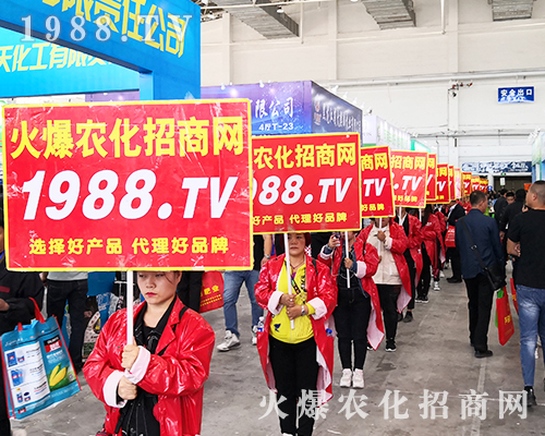 2019�L��ֲ���������r���W(w��ng)�����ƏV�ݲ��ɓ���