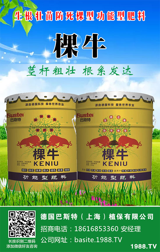 ���[���ʩ�������[�ƌW������ʩ�ʷ�����