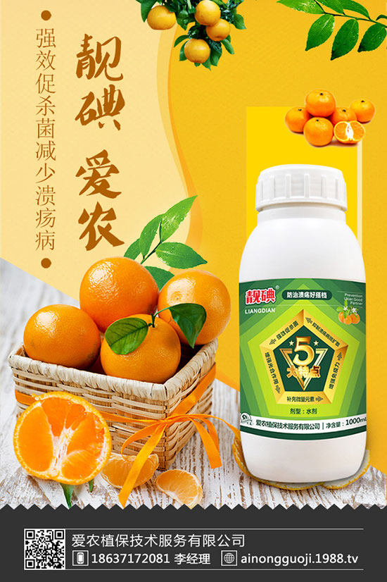 ���m����ηNֲ�����m���Nֲ�r�g��������