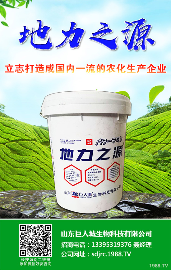 萵苣該如何施肥?萵苣的高產(chǎn)施肥技術(shù)有哪些?這些方法很重要!