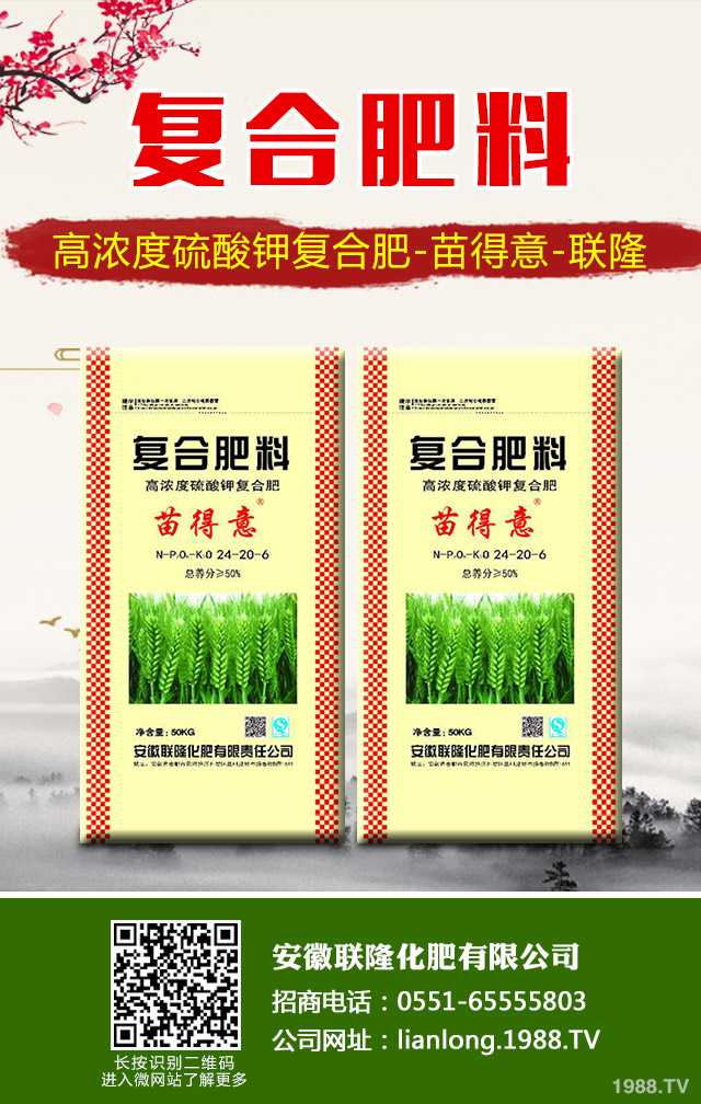 蘇鐵葉黃枯問題怎么解決?蘇鐵葉黃枯解決方法