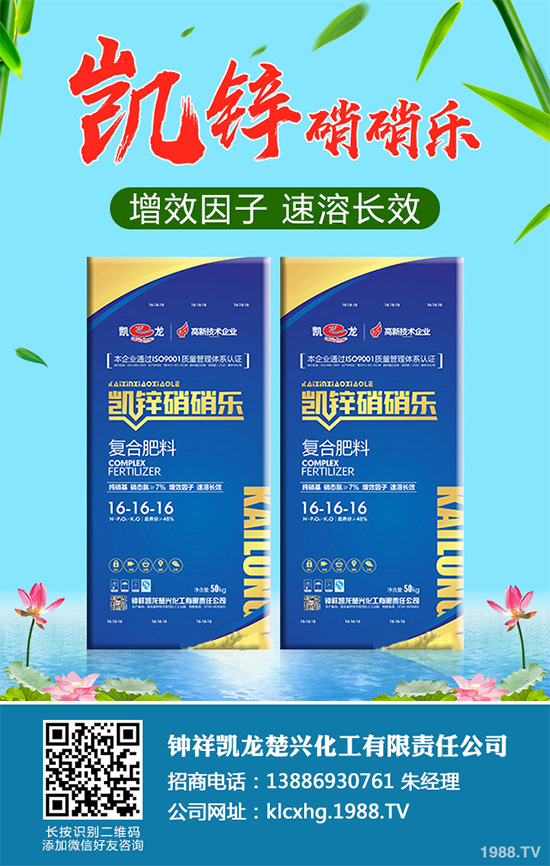     �n�ĺڰ߲�����ΰl(f��)����������ЩΣ�����n�ĺڰ߲����δ�ʩ