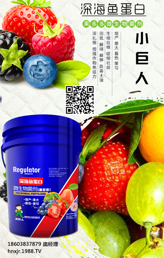 �t����ô�Nֲ���t���Nֲ�ĸ߮a(ch��n)����Ҫ�c 