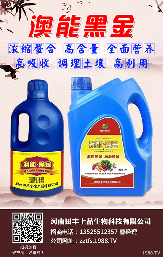 ���Ĳ�����Щ�I�B(y��ng)�rֵ���Ծ��Ĳ�����Щ��̎������Գ�������