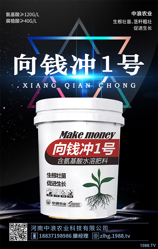 露地卷心菜什么時(shí)候種植?露地卷心菜種植技術(shù)大全