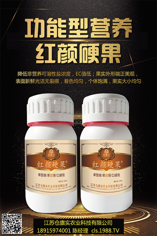 西蘭花什么時候種植?該怎么種?2019年西蘭花種植前景分析