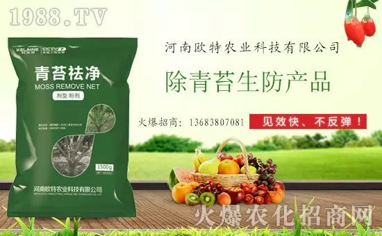 �������̦���������������Ƀ�����̦�oۙ��