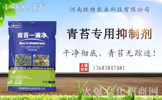 �������̦���������������Ƀ�����̦�oۙ��