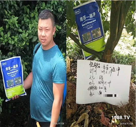 �������̦���������������Ƀ�����̦�oۙ��