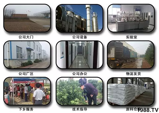 �������̦���������������Ƀ�����̦�oۙ��