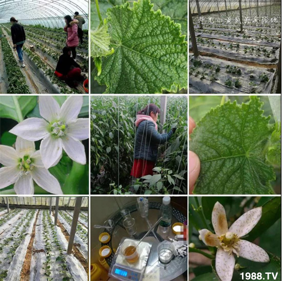     ���θ߿��԰׷�ʭ����?d��)��x����һ���Ɣ�